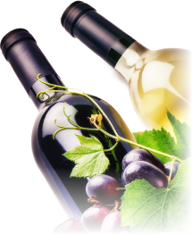 Käsesommelier Erzgebirge